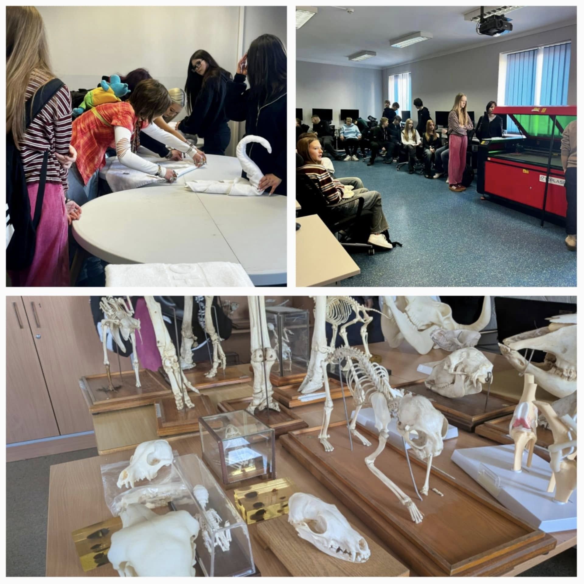 Warsztaty ósmoklasistów